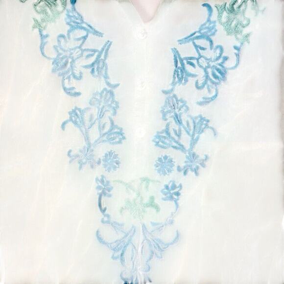 Johnny Was Womens Sheer Blue Floral Embroidered V-Neck Tunic Top Shirt Beachy M - Picture 6 of 16